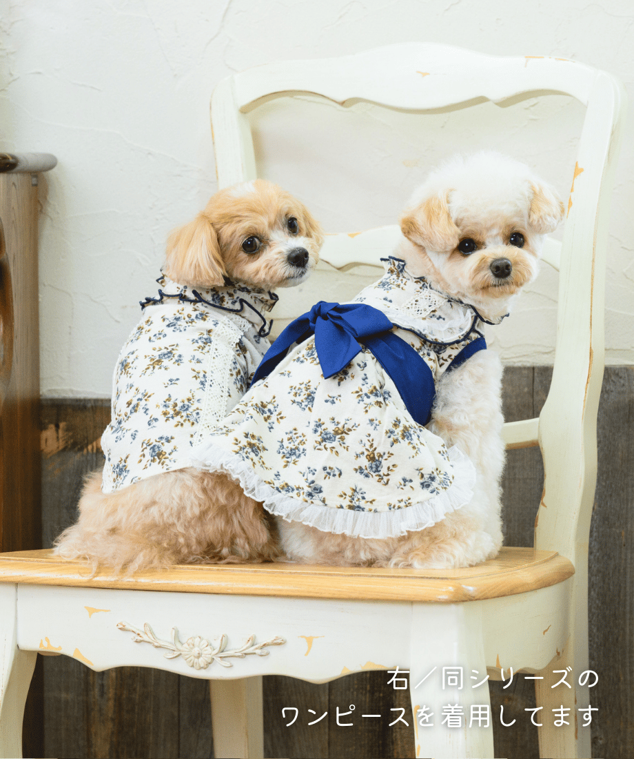 即納】 《フラワーブーケ🌼》フリルシャツ original OR005 | RiMarvi