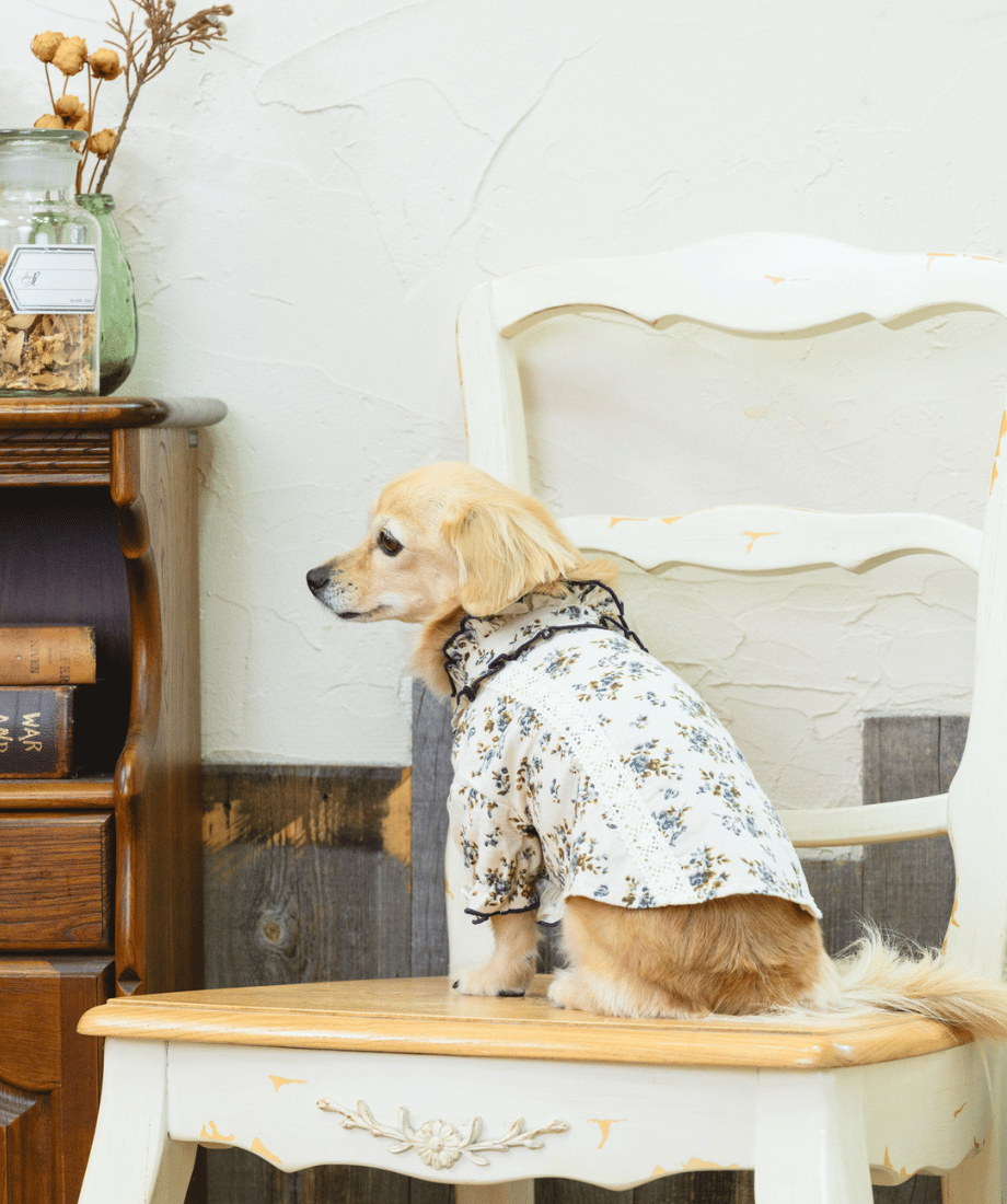 即納】 《フラワーブーケ🌼》フリルシャツ original OR005 | RiMarvi