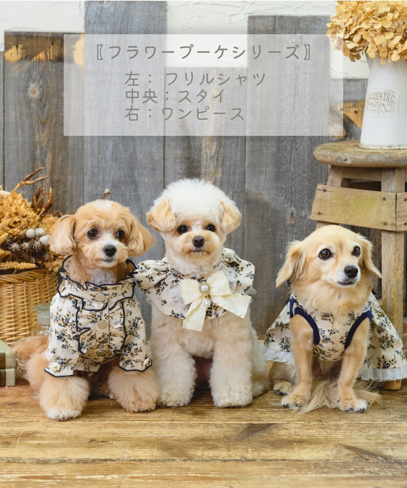 即納】 《フラワーブーケ🌼》フリルシャツ original OR005 | RiMarvi