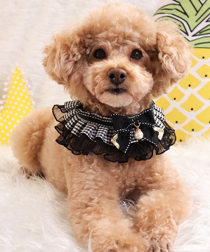 即納】再入荷♪＊モノトーンギンガムチェックつけ襟＊G096