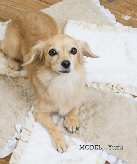 再入荷♪【即納】　《あったかふわふわ♥》　カイロ＆湯たんぽポーチ　OR009