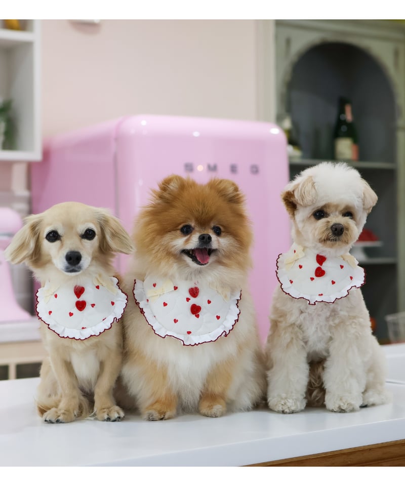 再入荷♪【即納】＊ひんやり2Wayスタイ＊ ♥ハートちゃん