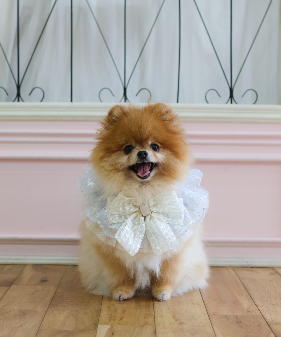 ♡さま専用 楽天市場】クーポン対象【楽天限定タイムセール】[アモスタイル