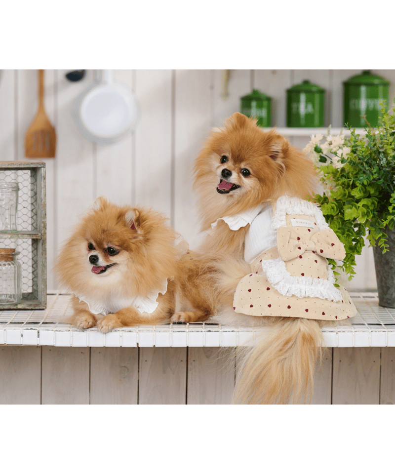 即納】 ハートホイップワンピ 《ストロベリーショートケーキ  