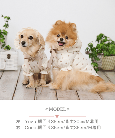 【即納】再入荷♪　フリルフーディパーカー　《永遠のパピーちゃん♡》original　OR001