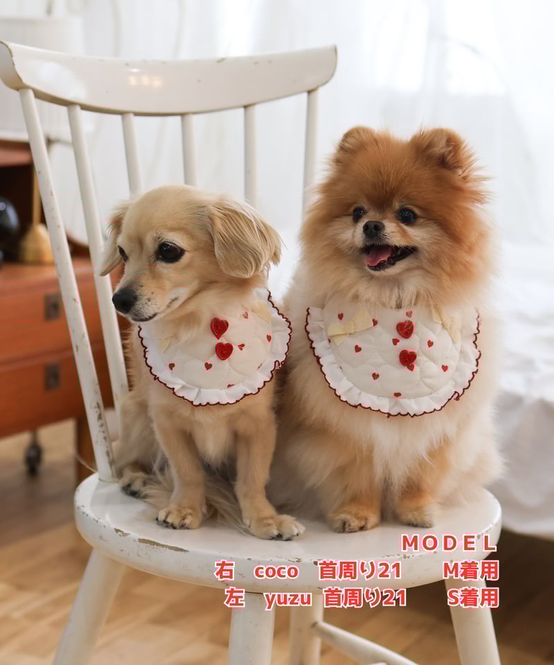 レジンヘアゴム♡クリスマス靴下猫ちゃんとレトリバーわんちゃん レジンヘアゴム、仲良し猫ちゃんとわんちゃん・再販不可 レジン