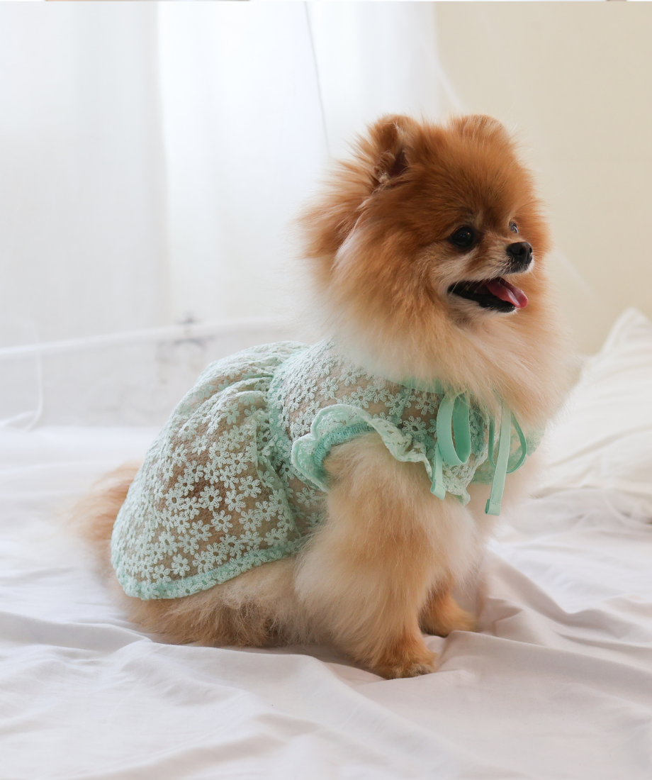 即納】 シアーフラワー 《エレガントワンピ♡》 original OR014