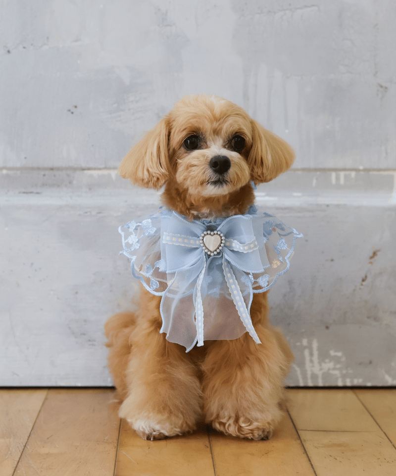 再入荷♪【即納】 ♥ラブリーブルーハート♥ ORIGINAL SR820 | RiMarvie