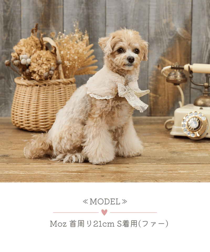 Guy Laroche フォックスファーリバーシブルケープ