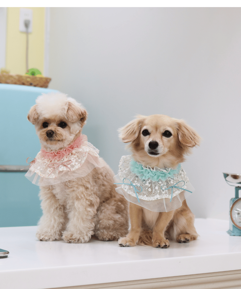 即納】♥レイヤーレーススタイ♥ ORIGINAL SR807 | RiMarvie