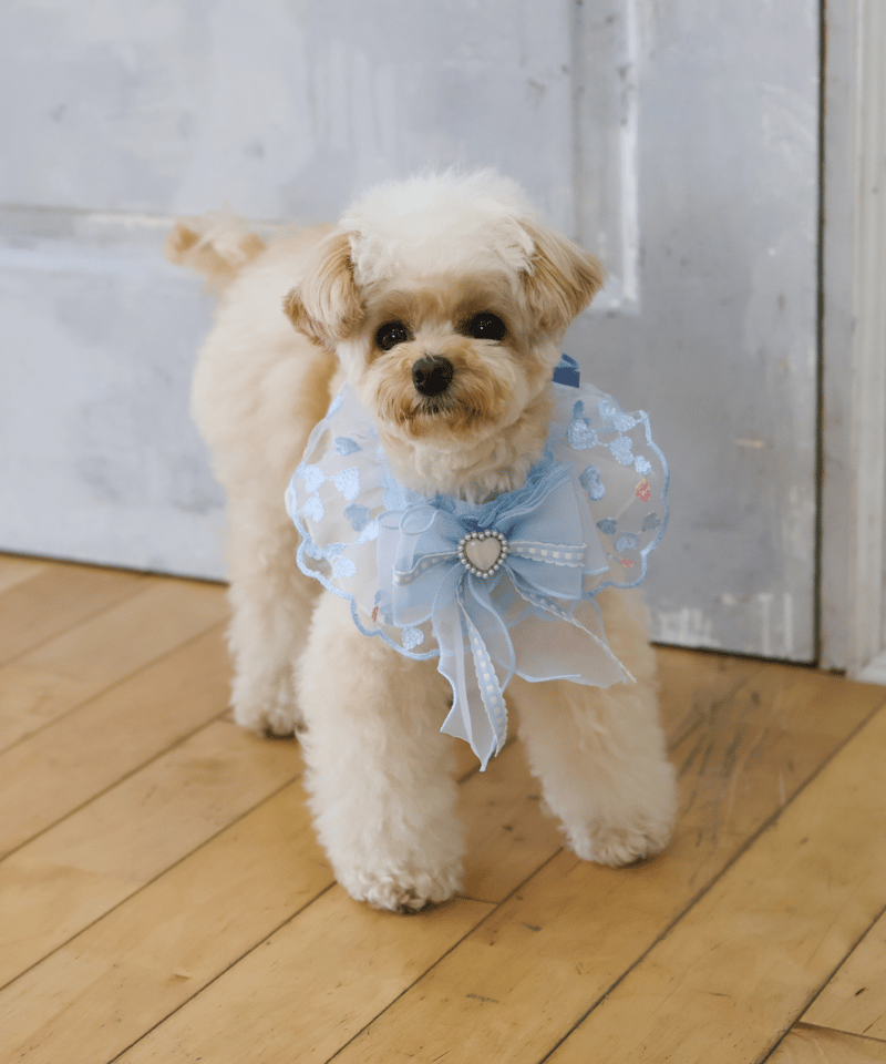 再入荷♪【即納】 ♥ラブリーブルーハート♥ ORIGINAL SR820 | RiMarvie