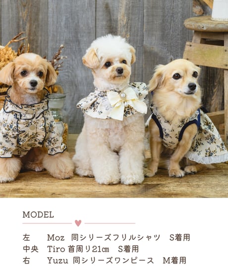 【即納】再入荷♪《フラワーブーケ🌼》ギャザースタイ　SR803