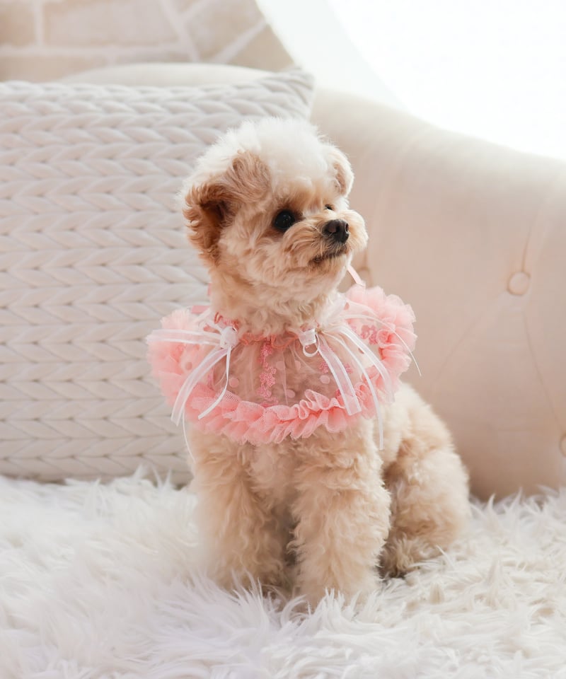 再入荷♪【即納】♥エアリーダブルリボンスタイ♥ ORIGINAL SR808