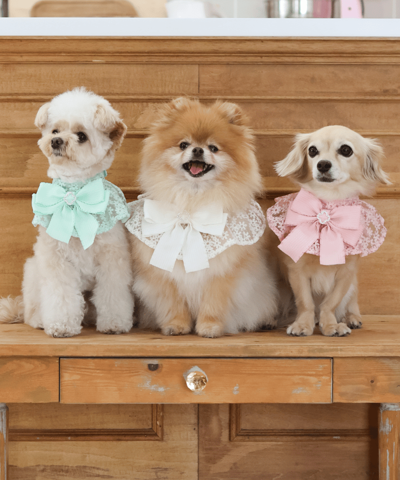 【RAMஐ*゜様】フェイクスイーツ◆花飾り♡可憐ツインスワンシュー◆リアルサイズ XSサイズあり【ROBE de FLEURS/ローブドフルール】3Dフラワー