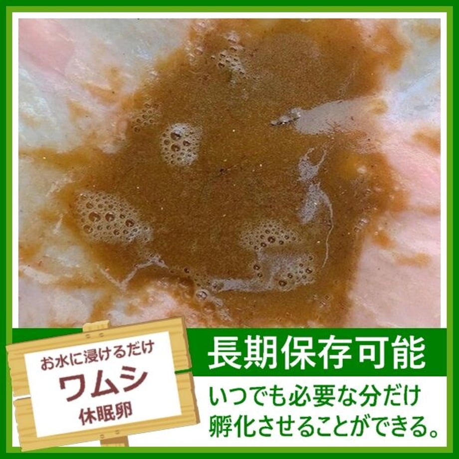 5eb630a655fa03353b635e48