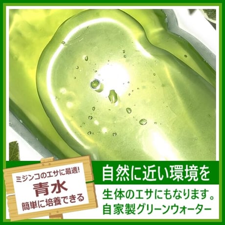 青水 350mlパック
