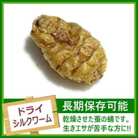 [送料140円] ドライシルクワーム 1パック