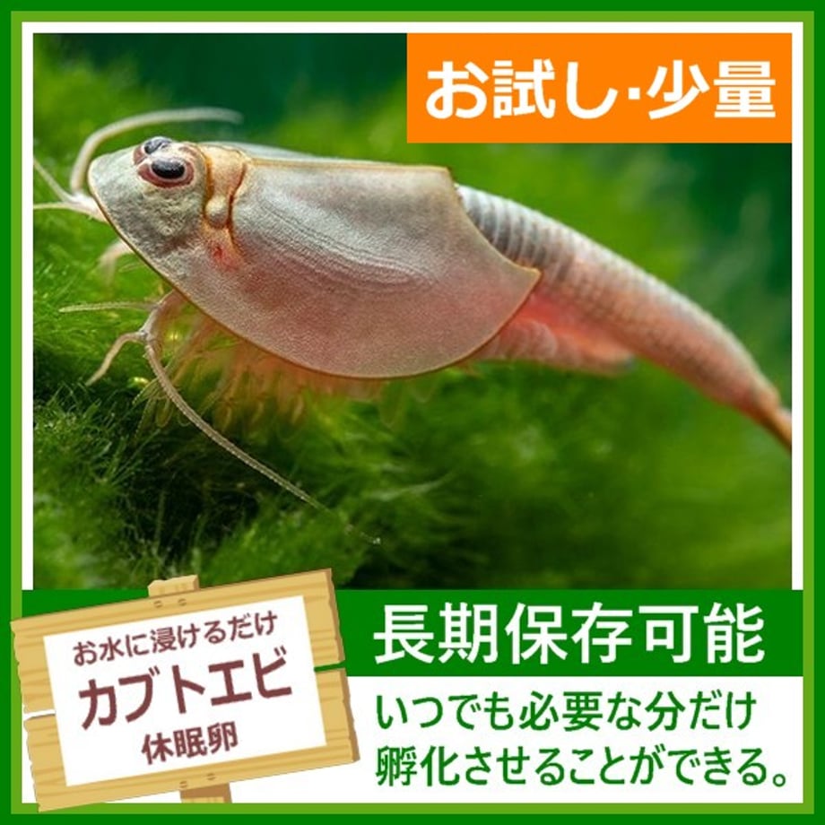 6809a493a06e0932a049fc31
