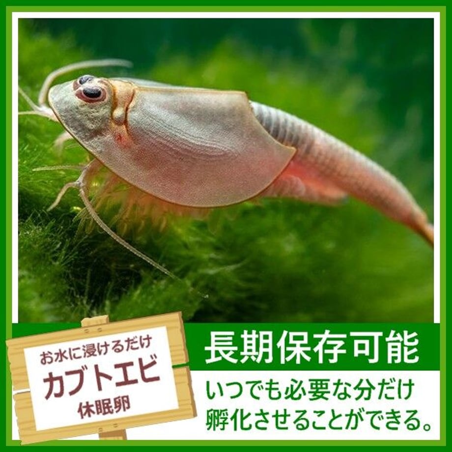 5eb6347d34ef0166decfb821