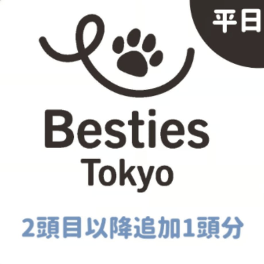674bb1905b1e91487c66b3fe