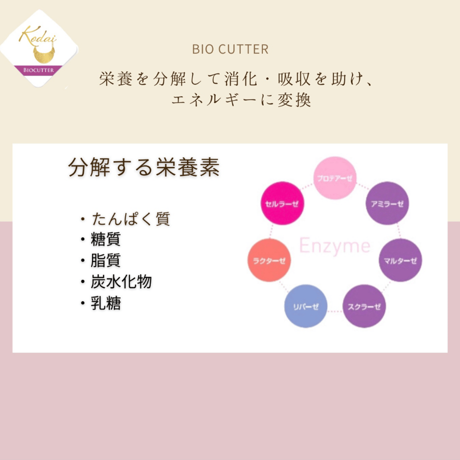 626a33c484ec6e3d3373e619