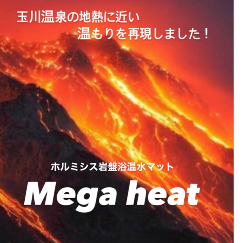 未使用品　　　ホルミシスザブティーマット ホルミシス エスティーマット S T 240 正規品（株）ピュアルネッサンス