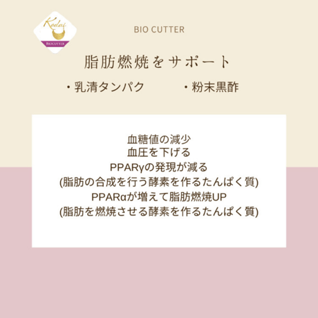 BIO CUTTERバイオカッター
