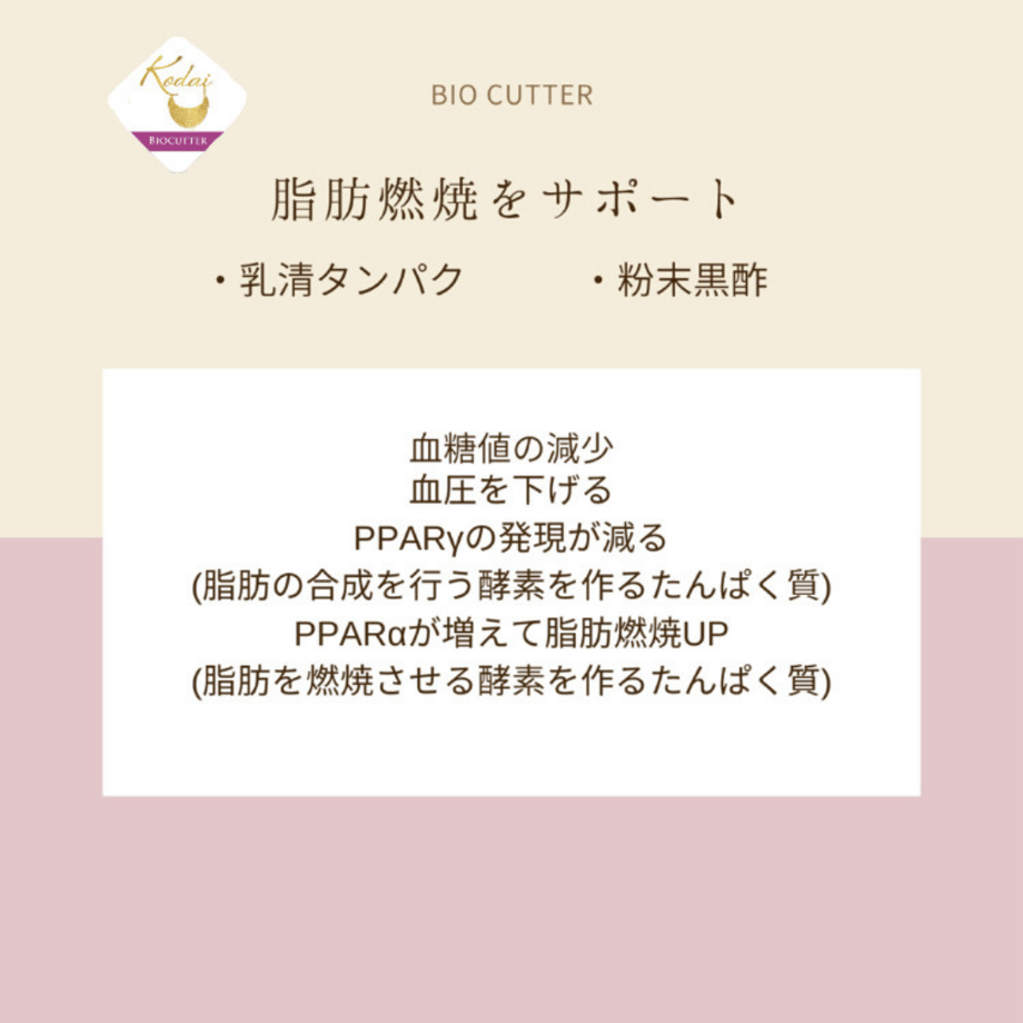 626a33c484ec6e3d3373e619