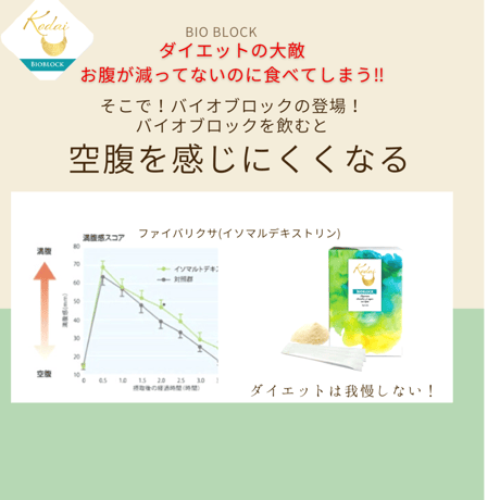 BIOBLOCKバイオブロック