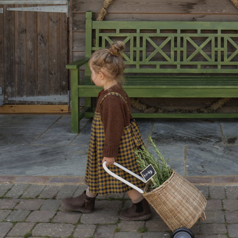 organic zoo / Blueberry Gingham Tribe Skirt | c 