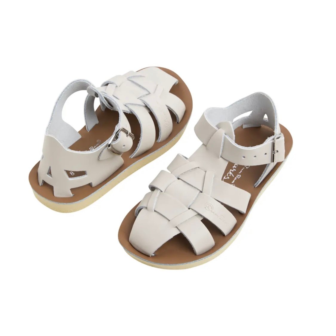 Salt Water Sandals / SHARK (SUN-SAN) - Stone -