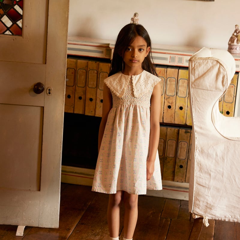 Apolina / Cornelia Sleeveless Smock Dress - Ros
