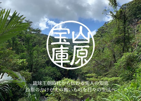 山原宝庫　沖縄うこん（粒）