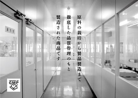 山原宝庫　沖縄うこん（粉）