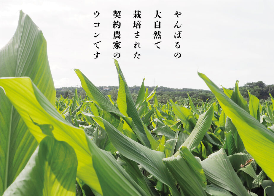 622f08f8a861131a48362318
