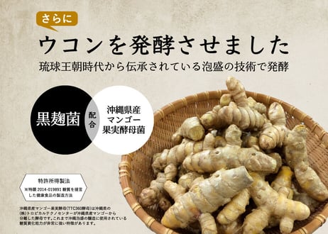 山原宝庫　沖縄うこん（粒）