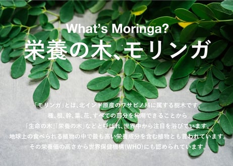 Moringaism