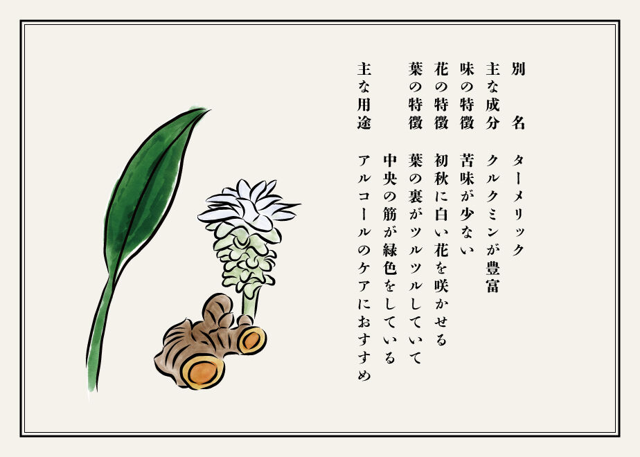 622f08f8a861131a48362318