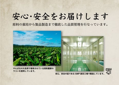 山原宝庫　沖縄うこん（粒）