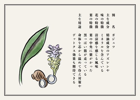 山原宝庫　紫うこん（粉）