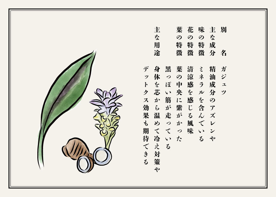 622f10a79a70623c8544f385