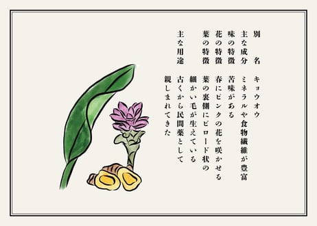 山原宝庫　春うこん（粉）