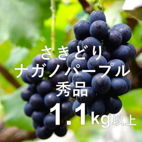 ナガノパープル | STORES