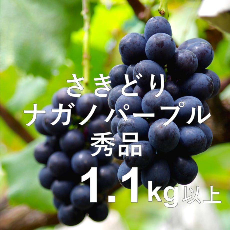 6871d02e40aa6225bd3d789e