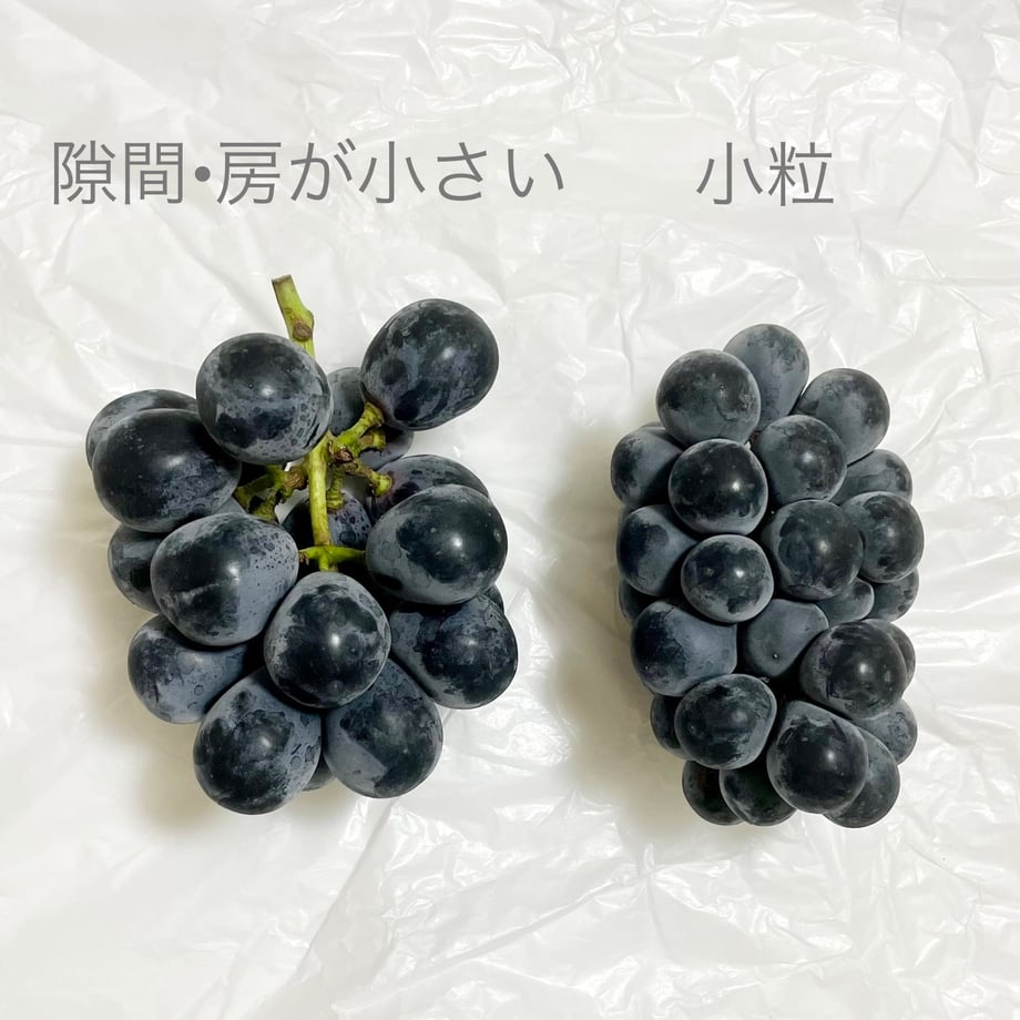 68b2b264f7672e71609b8709