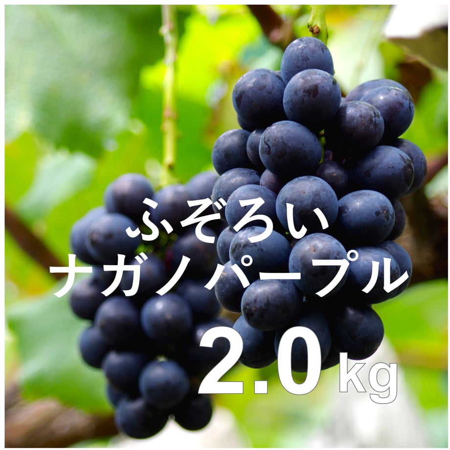 6a8be9087110b26713e9c5ec