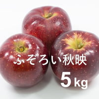 【2025年完売】限定30箱 ふぞろい秋映(家庭用)5kg☆お得で美味しい♪