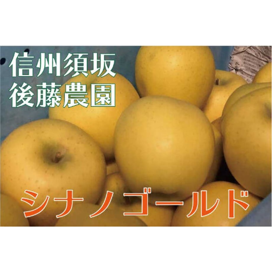 6343aacfc92c5d55c5b382e1
