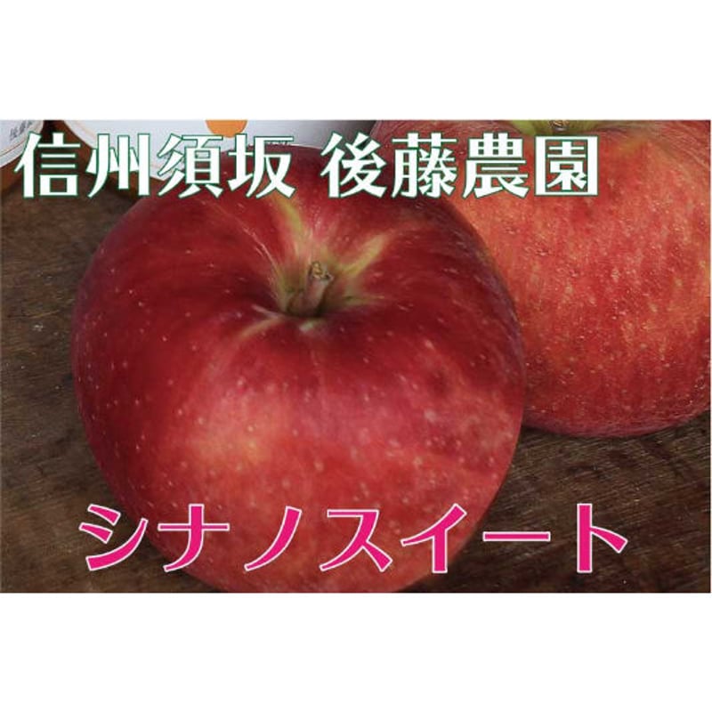2024年販売終了】ふぞろいシナノスイート(家庭用)5kg☆お得で美味しい