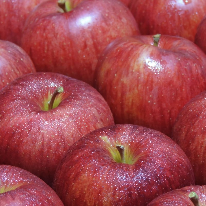 2024年販売終了】ふぞろいシナノスイート(家庭用)5kg☆お得で美味しい